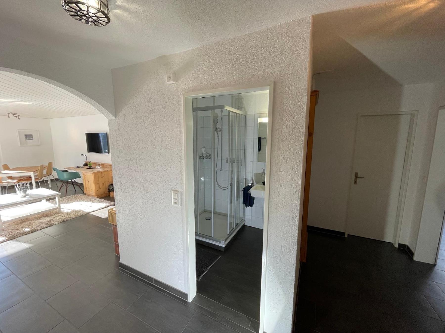 Catrina Hotel Disentis Rum bild