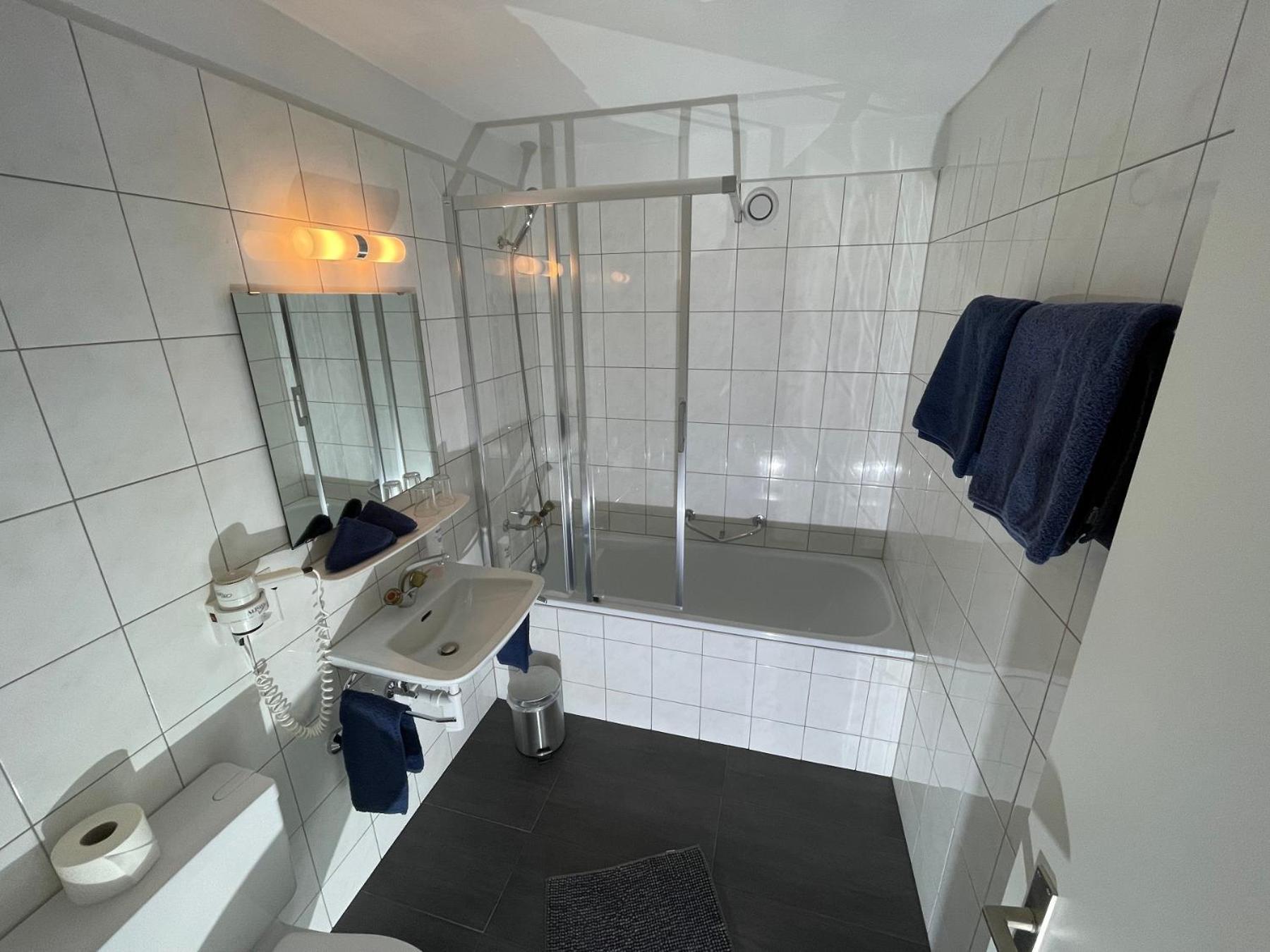 Catrina Hotel Disentis Rum bild